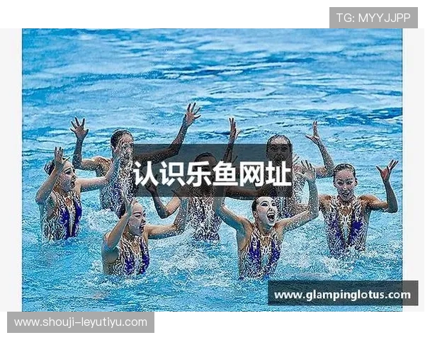 leyu乐鱼网页版官方入口访问问题解决方案,确保每位用户顺利进入游戏平台