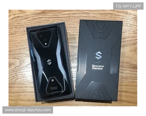 乐鱼娱乐官网入口多平台兼容支持多设备无缝连接带来极致游戏体验