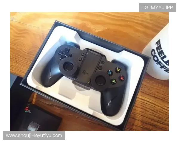 乐鱼电子下载流程详解让你快速安装畅享优质游戏体验