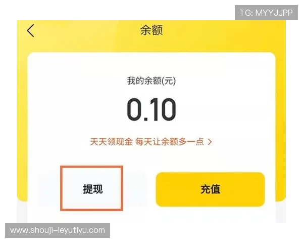乐鱼app怎么样的充值和提现流程是否便捷快速用户反馈如何