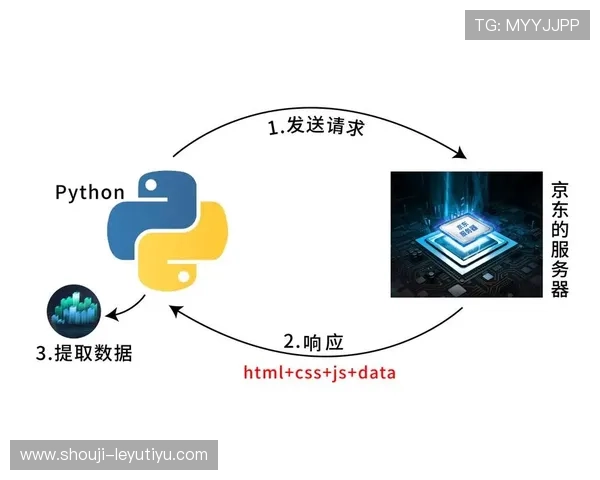 乐鱼官网app登录失败常见原因及应对技巧全面指南