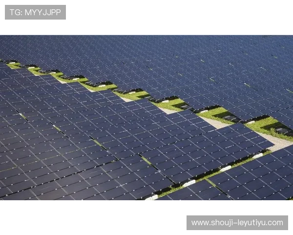 乐鱼平台资助大巴黎合作背后隐藏的战略布局与全球体育产业的深度融合