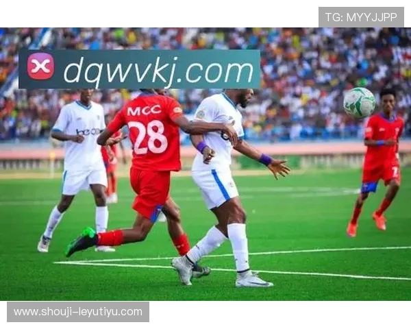 乐鱼意甲全球赞助商合作对提升用户体验和品牌忠诚度的具体措施