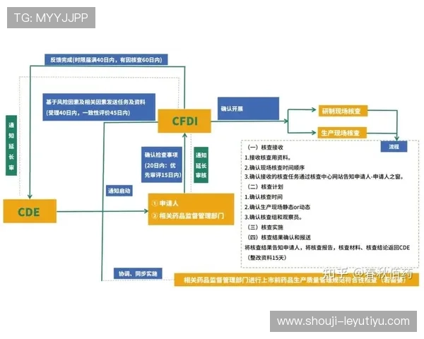 乐鱼官方注册入口最新入口地址及注册流程详解助你快速完成账号注册
